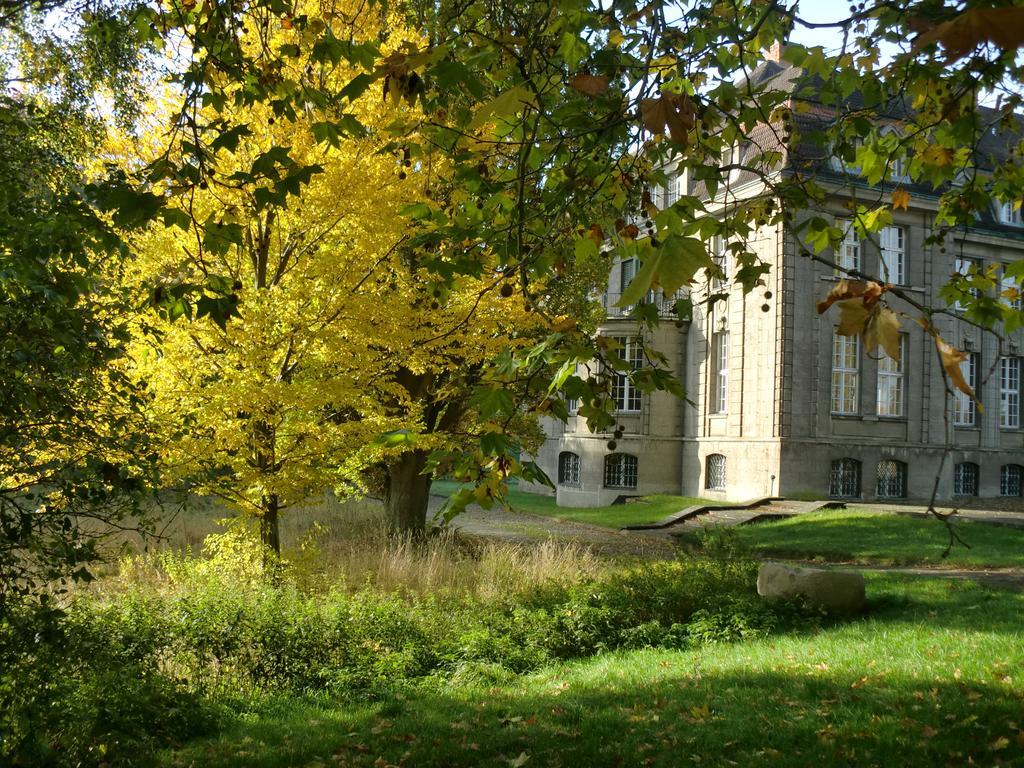 Jagdschloss-Bellin Dış mekan fotoğraf